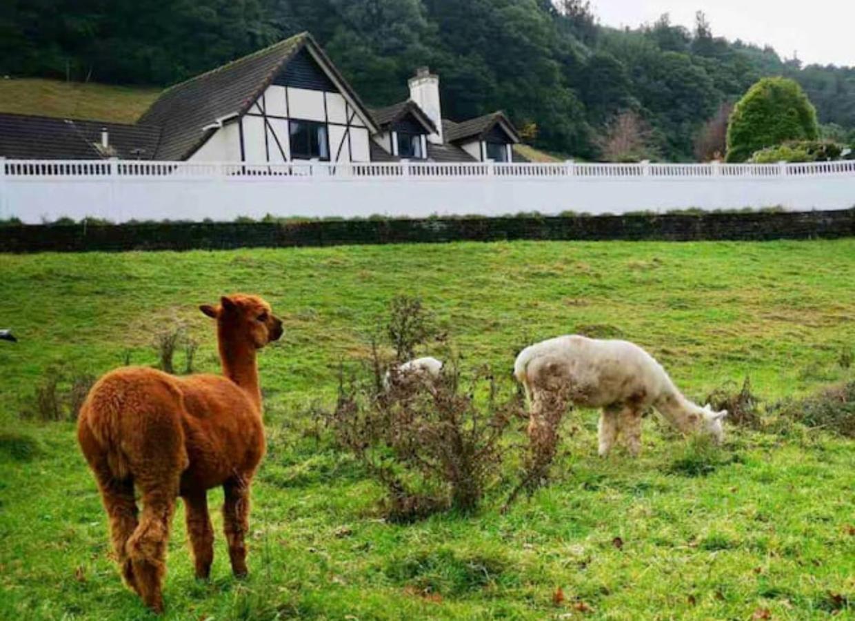 Skyline Mountain View Lodge Up To 16 People 罗托鲁阿 外观 照片
